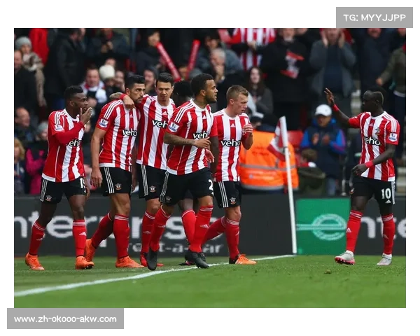 南安普顿重寻荣耀之路,英超旧梦能否成真? 南安普顿重寻荣耀之路,英超旧梦能否成真?